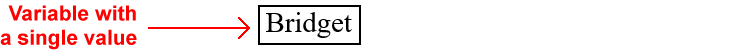 Variable with a single value